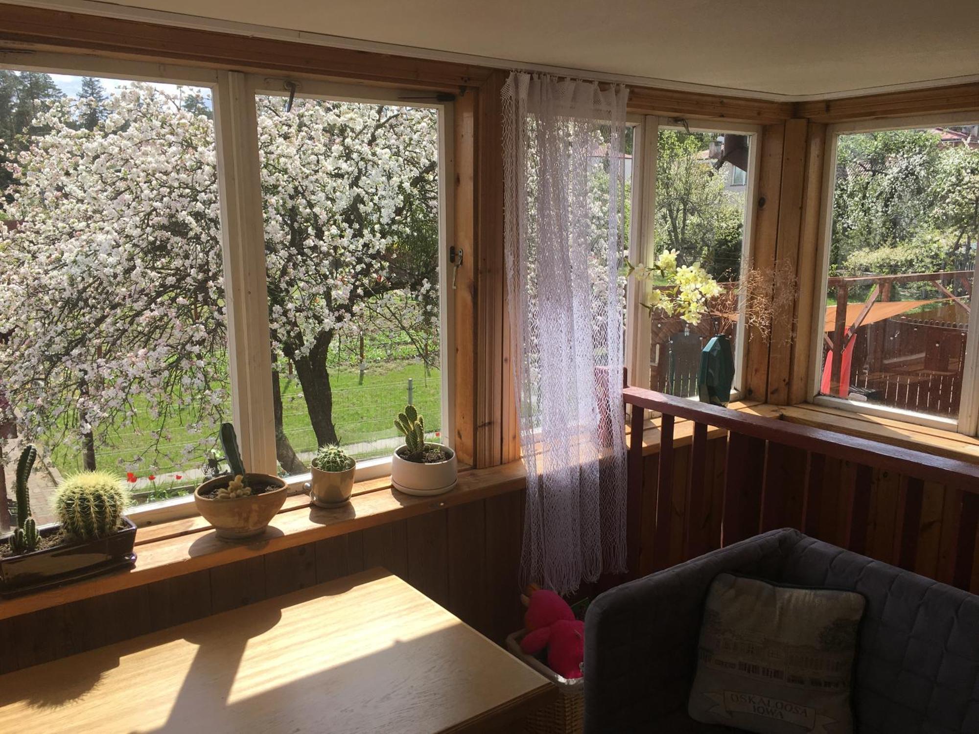 Goscinne Nowy Swiat Homestay