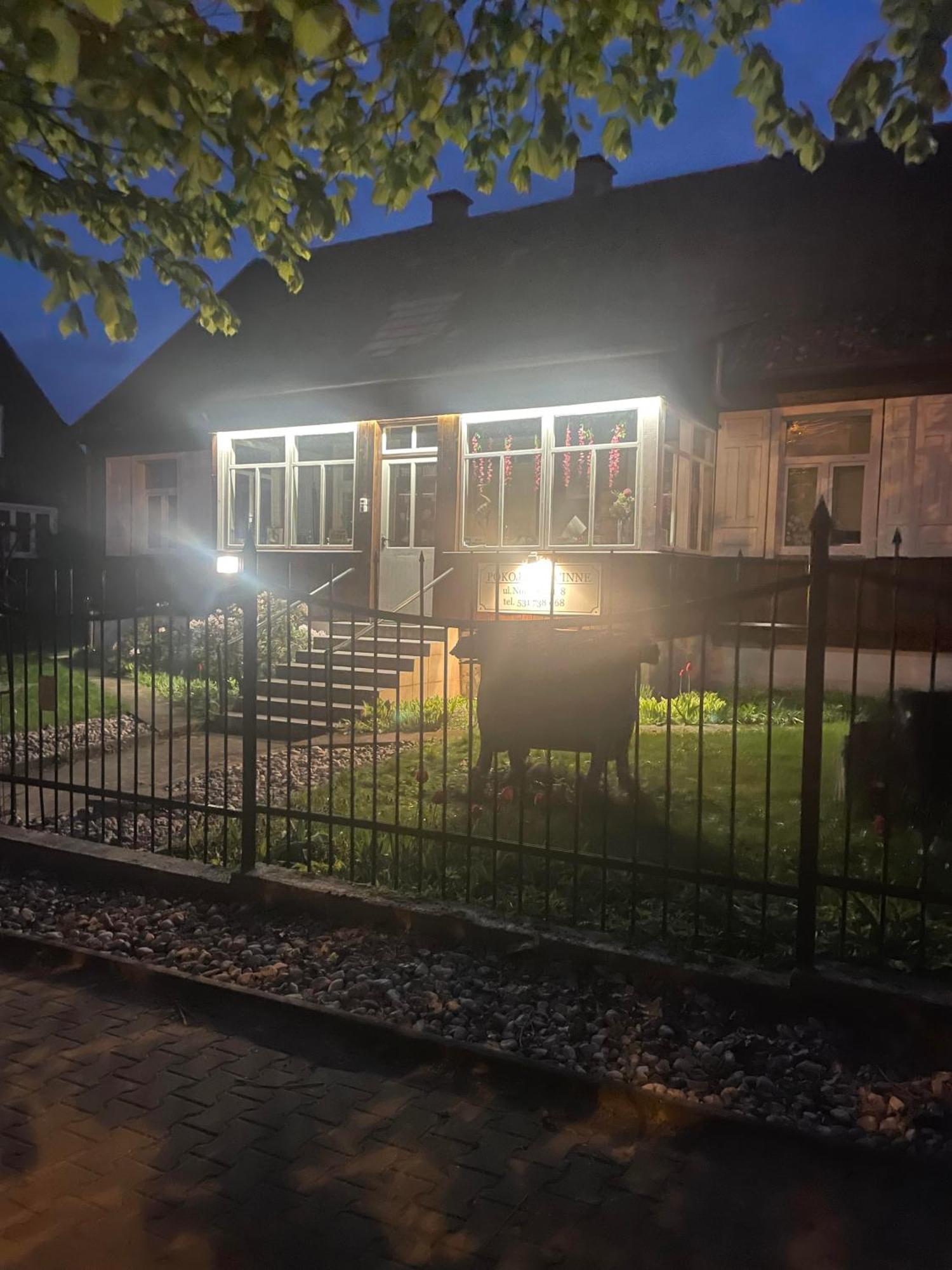 Goscinne Nowy Swiat Homestay *